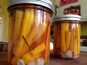 Pickled carrots ready to store on a cool, dark shelf.