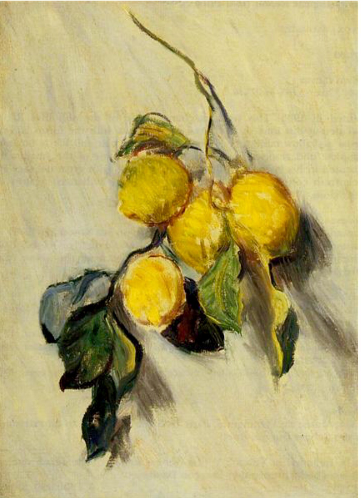 Branch of Lemons, Monet 1883